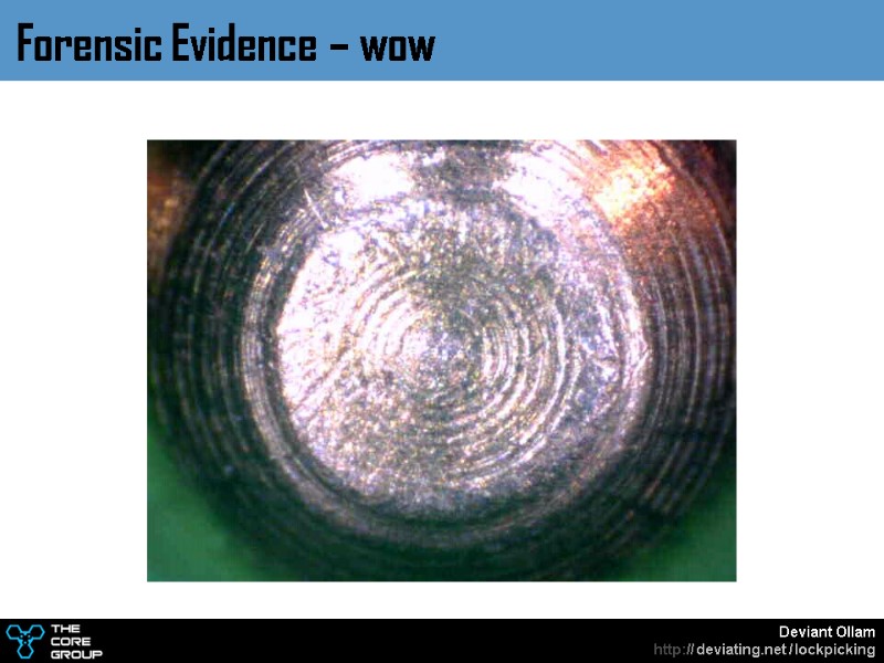 Forensic Evidence – wow